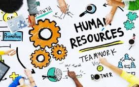 8. India- Human Resources